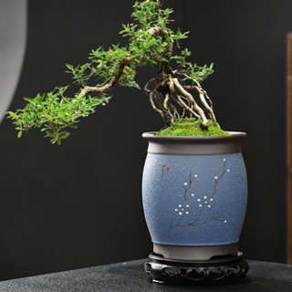 宜興 紫砂花盆栽 多肉植物盆 景盆 菖蒲盆 紫砂花盆小号桌面盆景花盆菖蒲多肉绿植盆栽紫砂盆