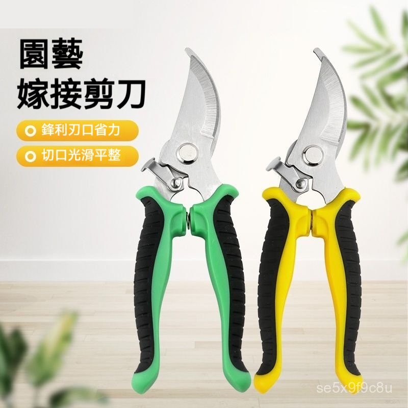 修枝剪 檳榔剪刀 樹枝剪 農用剪刀 果樹剪 摘果剪 採果剪刀 花剪 嫁接小剪刀🌿果剪 果蔬剪 疏花剪 剪枝剪刀 園藝剪 | 蝦皮購物