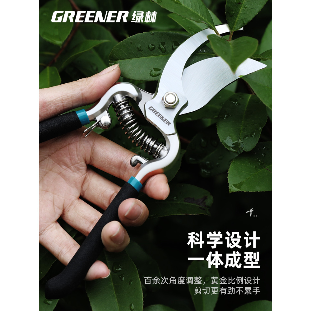 【台灣出貨】剪枝工具 修枝剪刀 盆景工具 盆栽剪葉剪刀 水口鉗 花藝剪刀 高品質 | 蝦皮購物