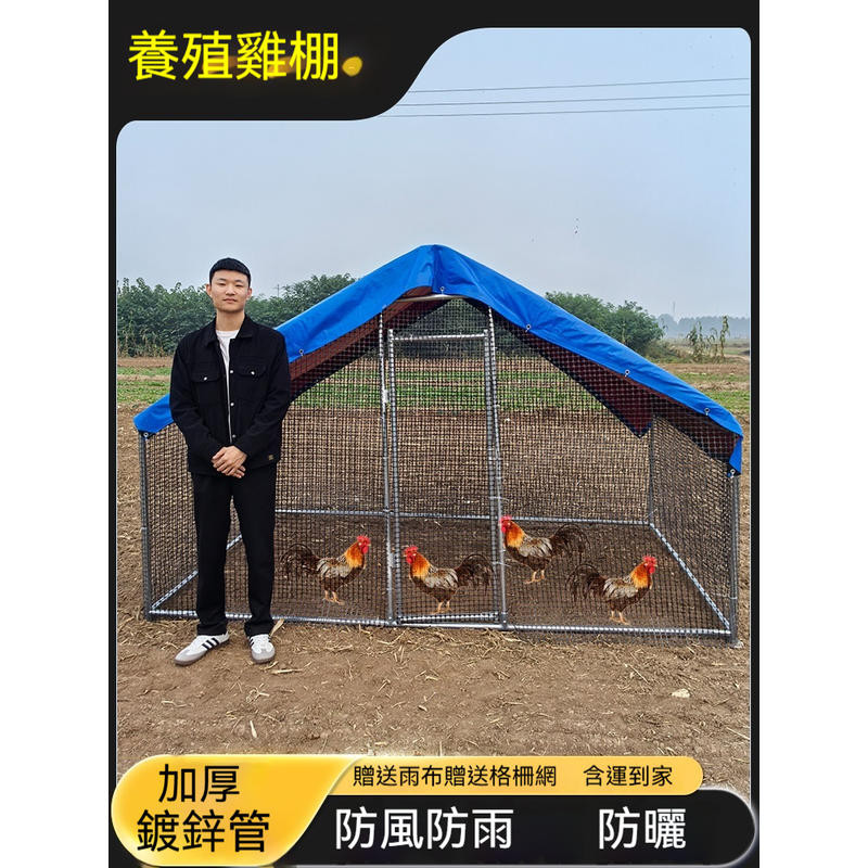 含稅免運 戶外養殖 狗 雞 鴨 鹅 兔子 孔雀 大型 養殖雞棚戶外防雨棚雞窩家禽雞籠子鴨棚鴿舍家用組裝雞舍搭建 | 蝦皮購物