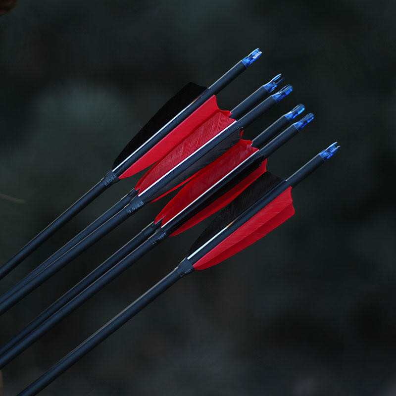 【奧奪】弓箭混碳箭箭支射箭競技運動美獵弓傳統弓可換箭頭真羽混碳素箭支 | 蝦皮購物