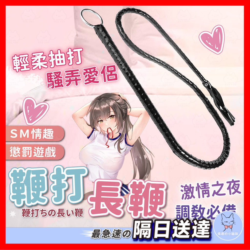 【隱密包裝】皮革長鞭 24H出貨 SM長鞭 鞭打 皮鞭 長鞭 刑具 情趣刑具 挑逗誘惑 調教 鞭打調情 BDSM | 蝦皮購物