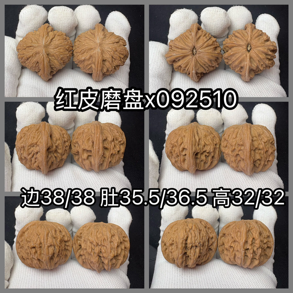 24年新果】磨盤山地獅子頭文玩核桃山字尖限定文玩核桃磨盤| 蝦皮購物