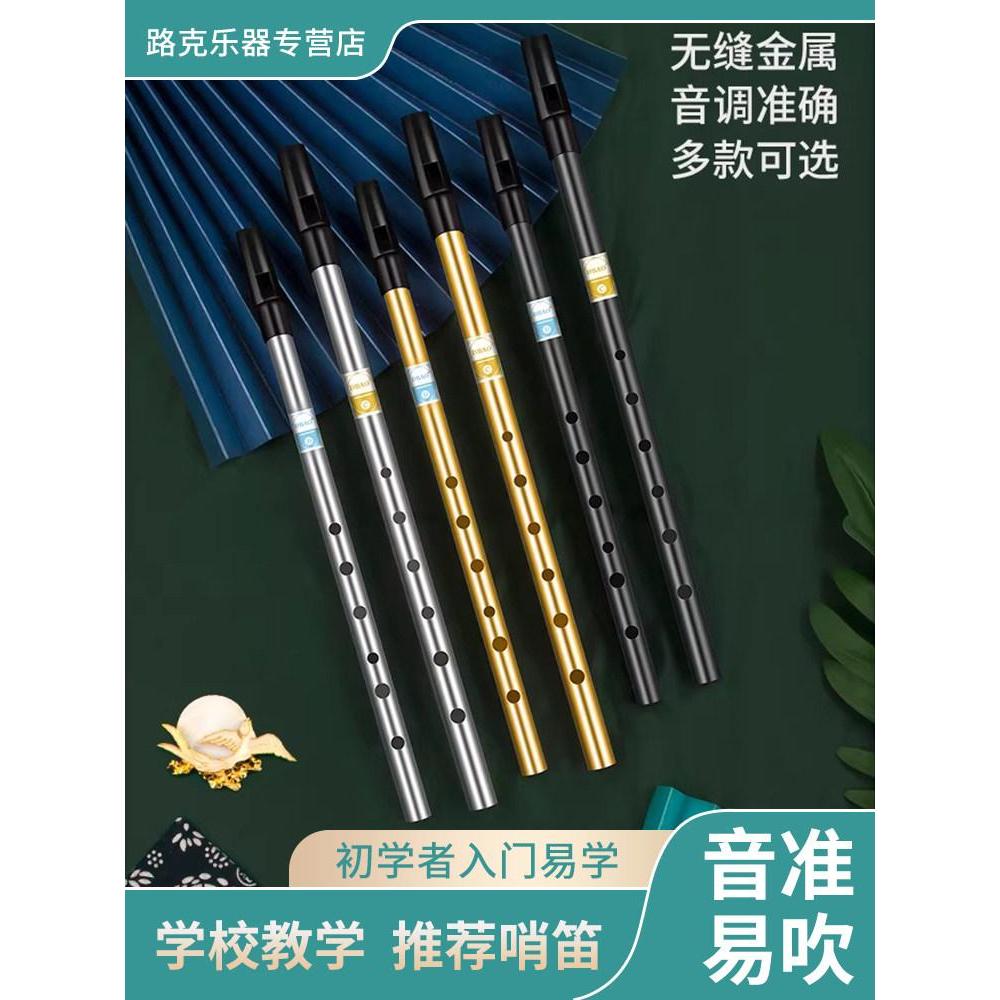 新品現貨DBAO 愛爾蘭哨笛初學者入門金屬笛子孔C調D調高低音直笛豎笛樂器20260406 | 蝦皮購物