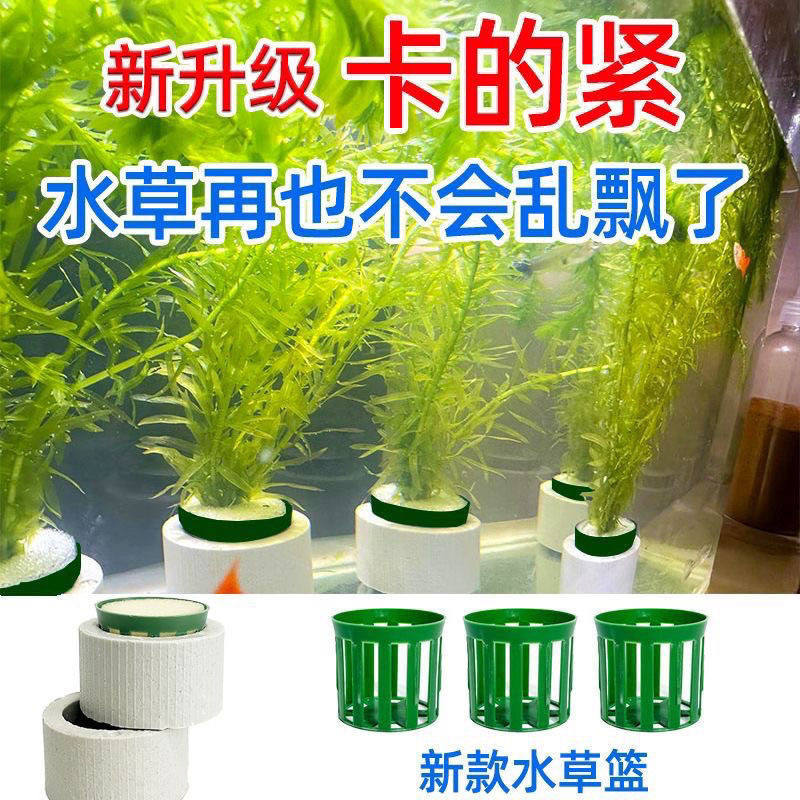魚缸水草定植環陶瓷環種植水草杯草缸養草環水草種植固定底座籃子 | 蝦皮購物