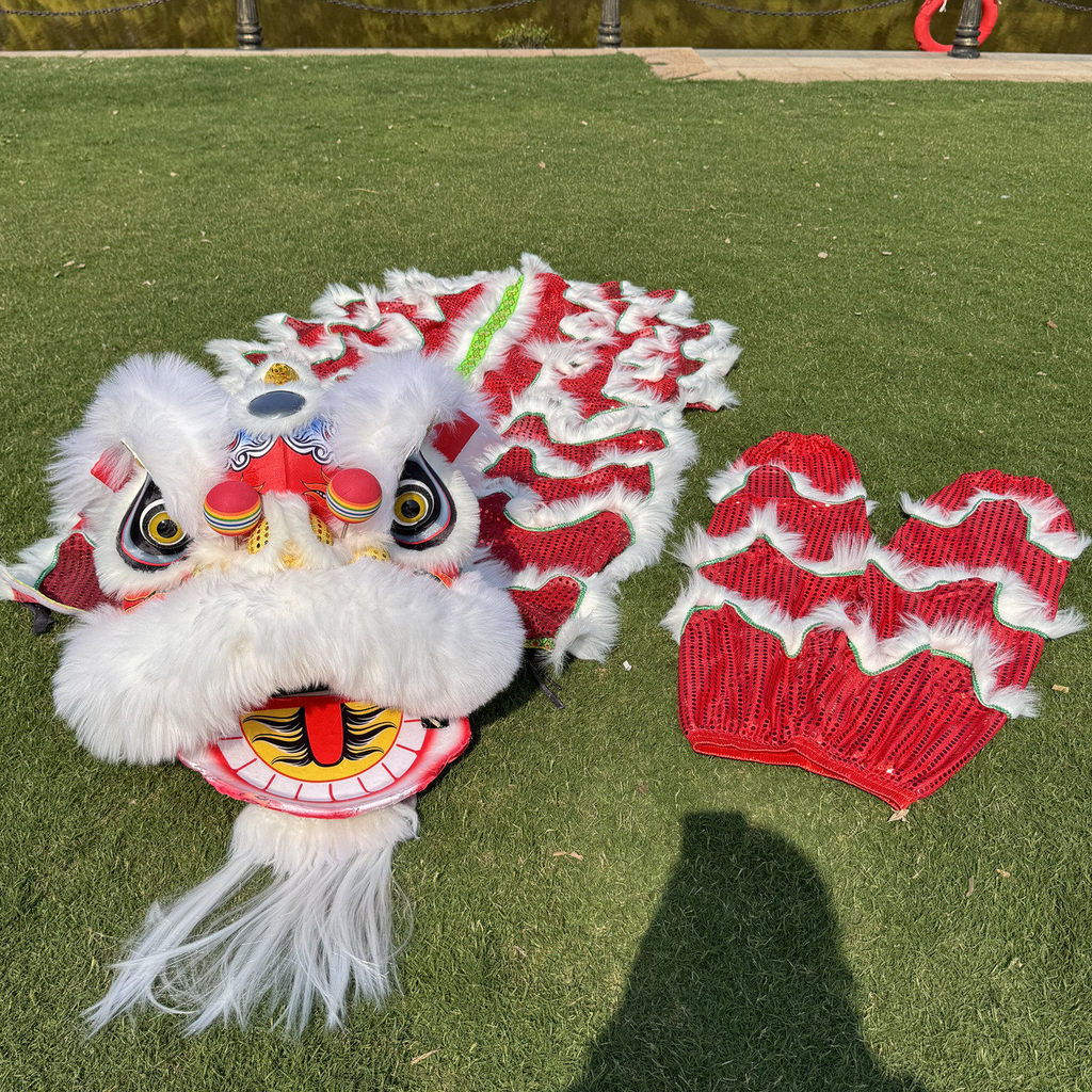 10寸12寸泡沫舞獅子舞獅頭獅子頭醒獅演道具舞獅醒獅南獅 | 蝦皮購物