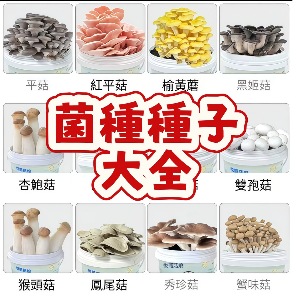 🔥次日達-（菌種種子大全） 當季新籽 可食用菌種 澆水就長 懶人易種植 鮮嫩美味 營養豐富 #超優惠 | 蝦皮購物
