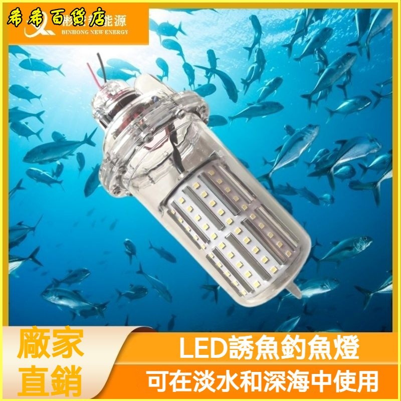防水户外高强光LED水下诱鱼钓鱼集鱼潜水灯12V 補光燈 閃光燈 潛水燈 淺水燈 探照燈 專業潛水強光燈 潛水探照燈 | 蝦皮購物