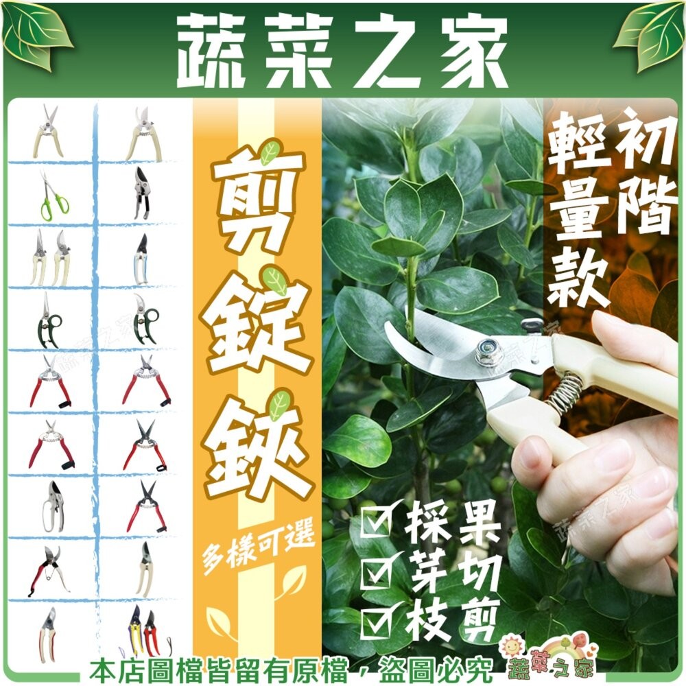【蔬菜之家滿額免運】初階輕量款剪錠鋏(剪定鋏)多樣可選 // 剪枝 芽剪 花剪 採果 枝剪 切花 修枝 插花 剪花 修剪 | 蝦皮購物