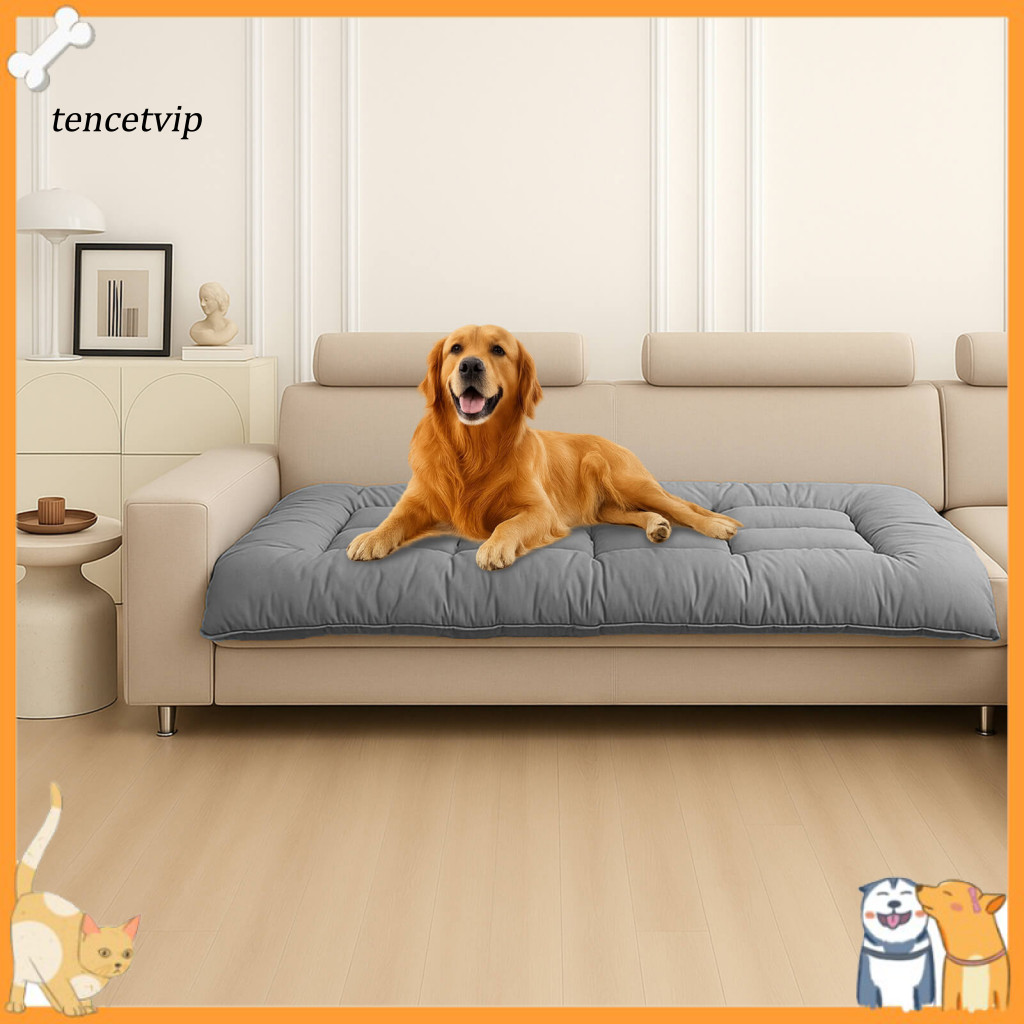 Picture Idea: Vip Dog Cooling Bed Cooling Memory Foam Pet Bed 夏季降溫記憶海綿狗沙發床