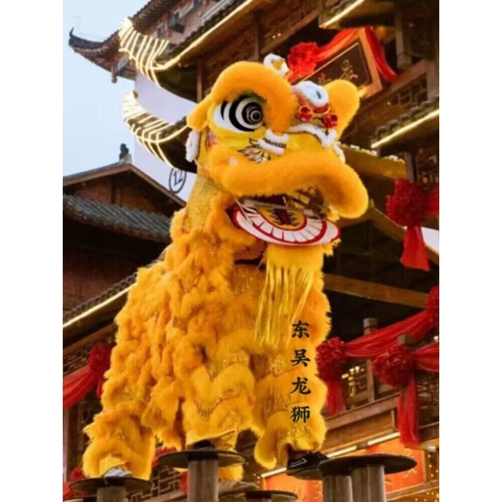 舞獅道具全套南獅醒獅舞龍舞獅服裝雙人羊毛獅子專業瑞獅鳴朝獅頭美樂兒旗艦店 | 蝦皮購物