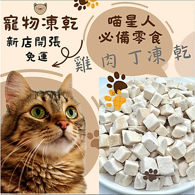 為什麼貓要濕食，露肚皮雞肉原肉凍乾，可捏碎拌進濕食誘食