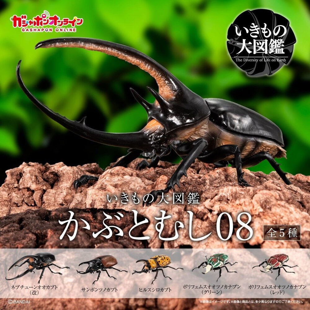 🔥現貨🔥生物大圖鑑獨角仙08 萬代扭蛋轉蛋海神大兜蟲三叉戟大兜蟲花
