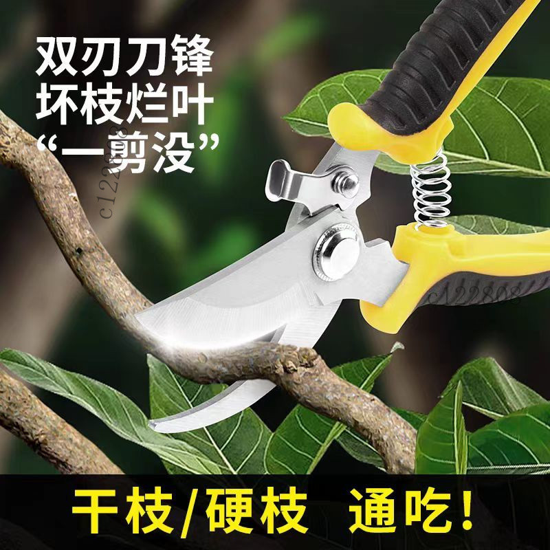 台灣出貨園林不銹鋼省力果樹剪刀修枝剪花剪粗枝剪園藝工具樹枝剪花枝剪刀 B F | 蝦皮購物