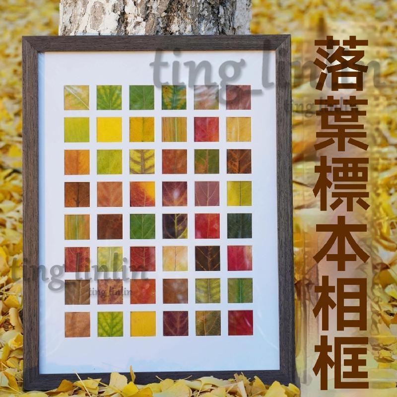 格子空框 手工diy落葉 樹葉標本相框宮格 標本掛畫框 裝飾畵框 永生花相框 乾燥花相框 格子展示框 宮格相框 多格相框 | 蝦皮購物