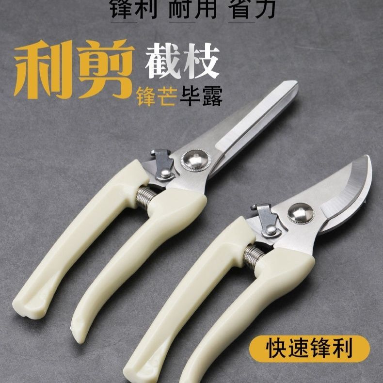 家用修枝剪不锈钢园艺剪子盆栽果树橘子园林剪刀树枝剪刀植物剪根 | 蝦皮購物