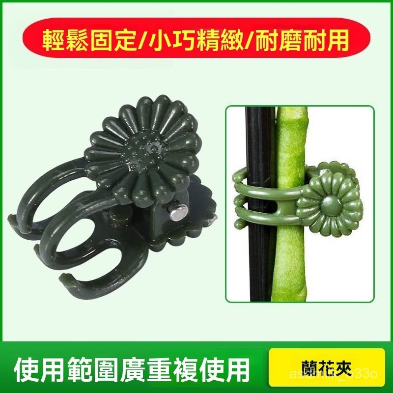 🔥臺灣出货🔥蝴蝶蘭專用夾子蘭花固定夾子書本夾子爬藤植物固定夾造型 JXCD | 蝦皮購物