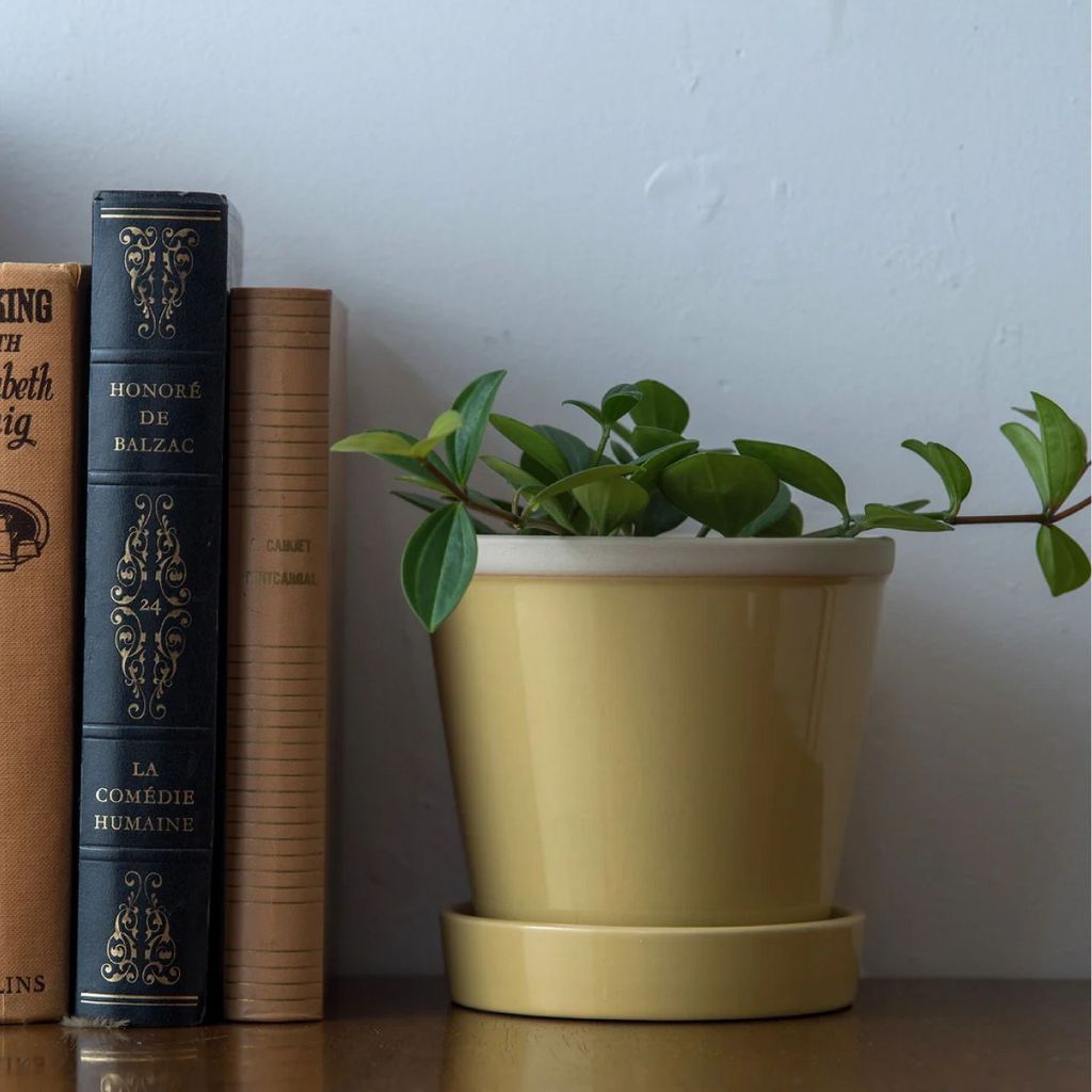 0123 studio | 日本 冰裂陶盆 Glossy Pot 冰裂感 PLUSthegreen 花盆 陶盆 觀葉植物 | 蝦皮購物