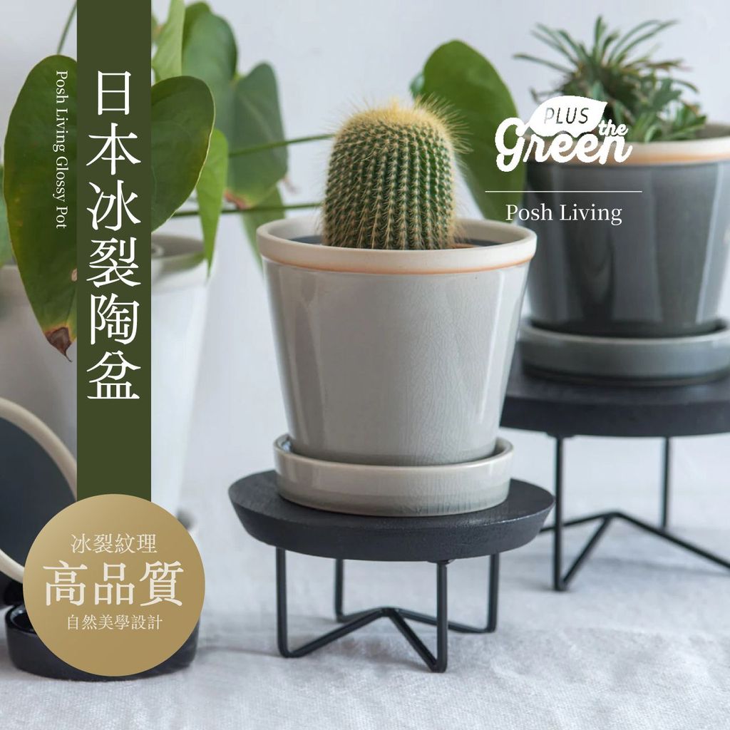0123 studio | 日本 冰裂陶盆 Glossy Pot 冰裂感 PLUSthegreen 花盆 陶盆 觀葉植物 | 蝦皮購物