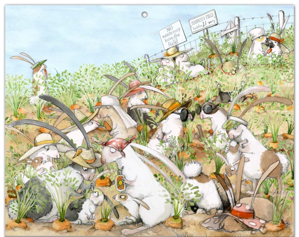 The Rabbit Problem【兔子多到突破天際！？】 精裝互動翻翻書兔子繪本| 蝦皮購物