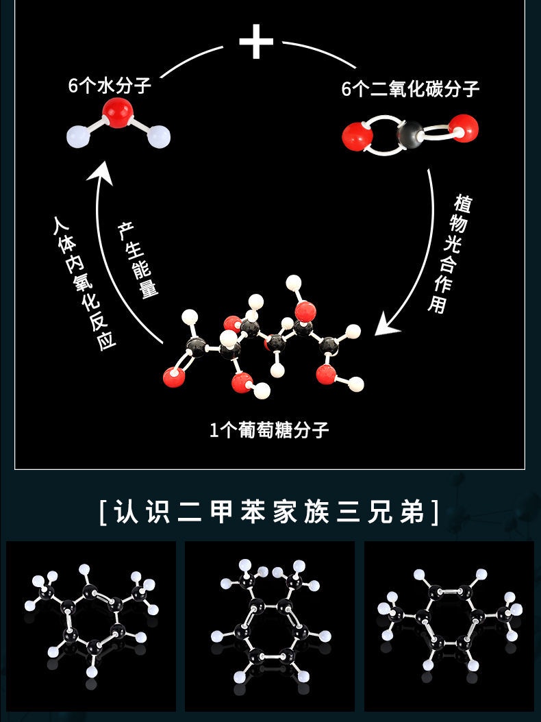 熱銷優品# 有機無機化學分子結構模型 球棍比例模型 晶體演示用實驗器材 | 蝦皮購物