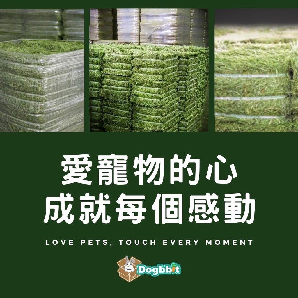 道格兔 Dogbbit 牧草評價與挑選建議：提摩西一割、二割、三割怎麼選才適合兔兔 (6/6)