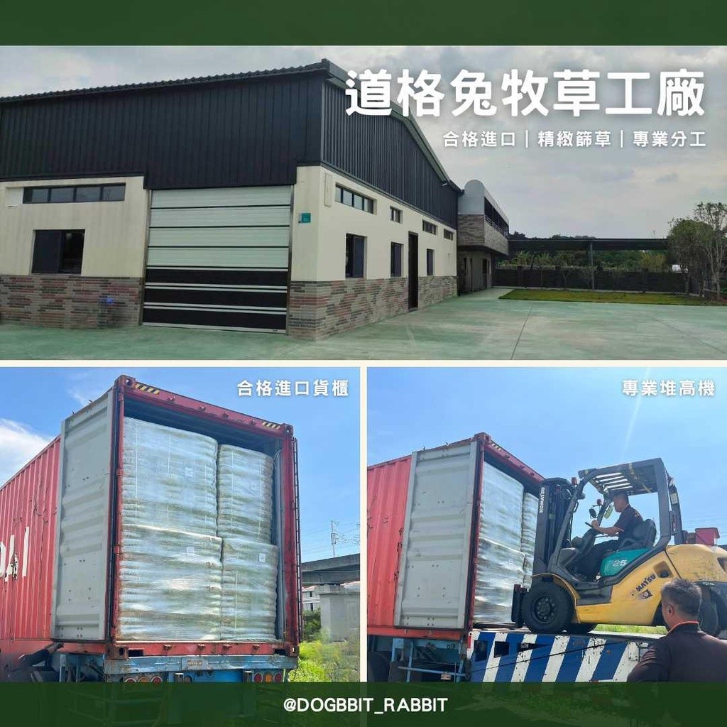 道格兔 Dogbbit 牧草評價與挑選建議：提摩西一割、二割、三割怎麼選才適合兔兔 (5/6)