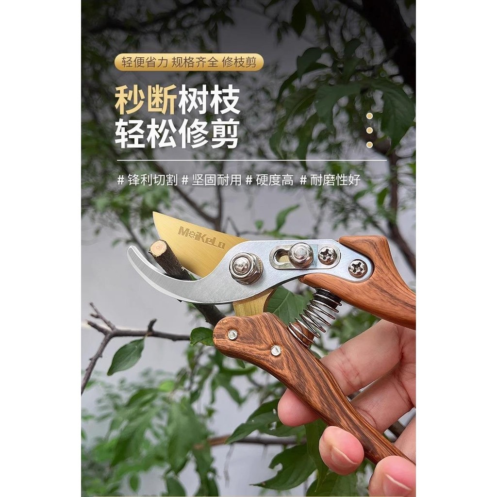 剪枝剪刀園林花藝修剪樹枝剪刀果樹剪刀粗大花剪園藝樹枝剪子工具 | 蝦皮購物