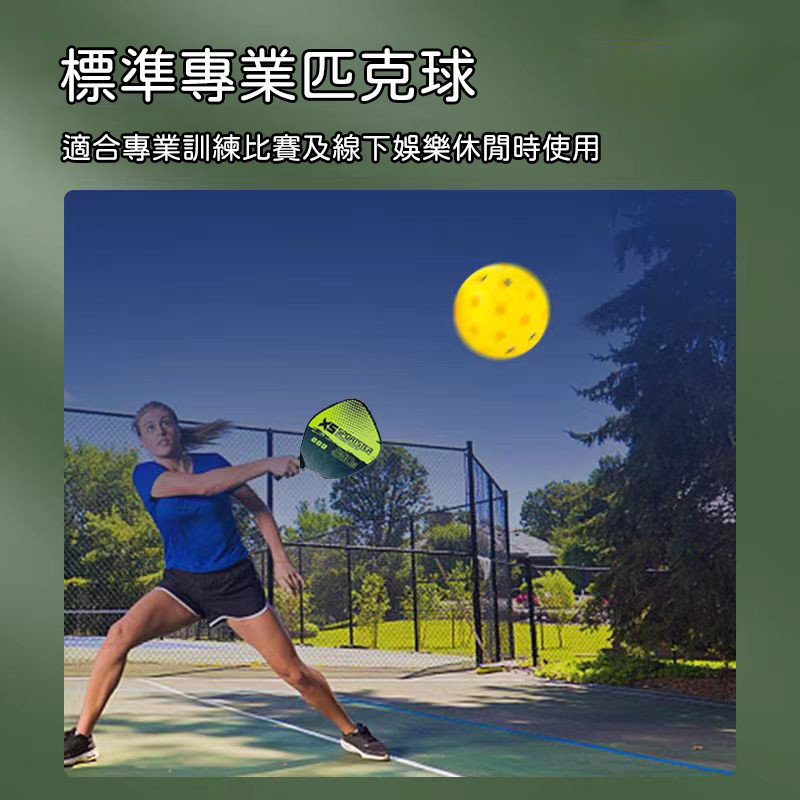 匹克球 匹克球訓練器 Pickleball 匹克球拍 皮克球拍 匹克球拍套 匹克球組 匹克球球拍 匹克球套組 | 蝦皮購物