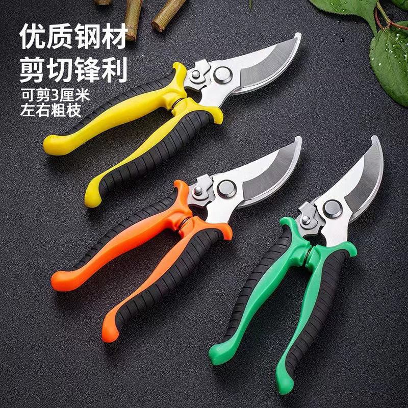 花剪修枝剪樹枝剪園藝剪粗枝剪園林果樹剪五金工具摘果剪子 | 蝦皮購物