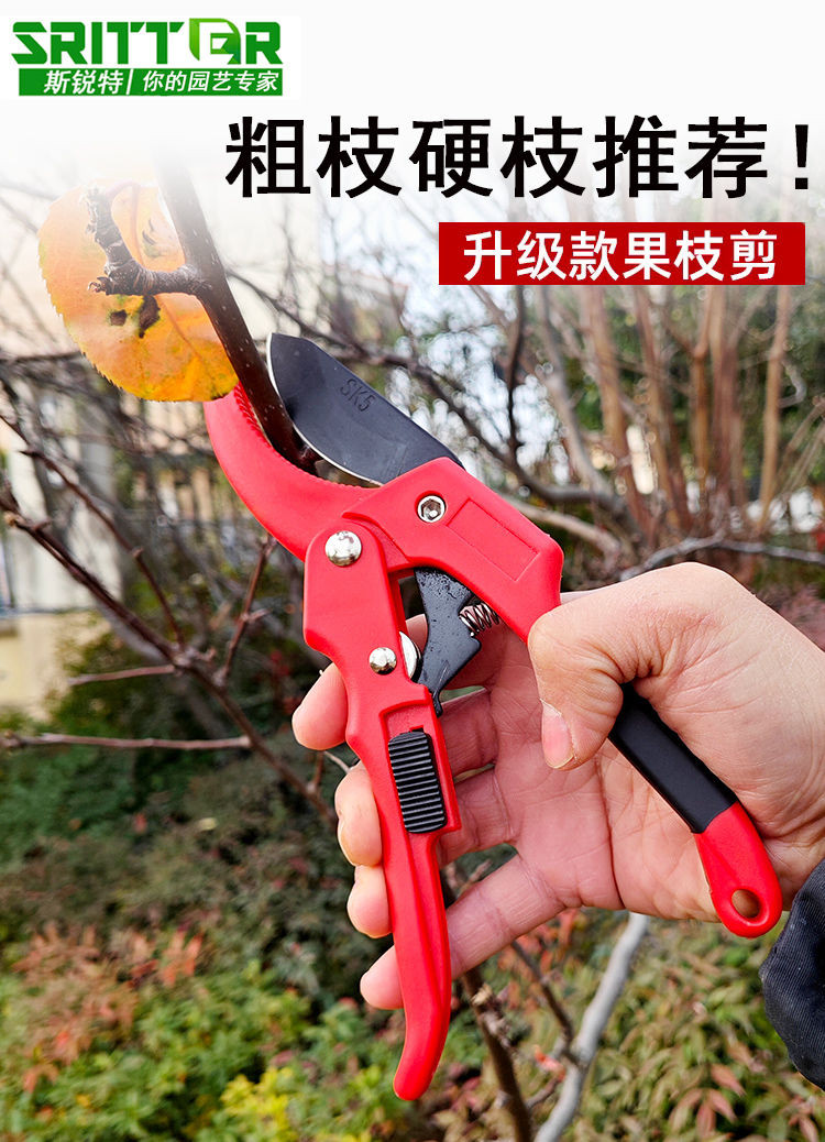 上新 德國粗枝剪 修枝剪 滑輪省力 多功能修枝剪刀 園藝修花木 果樹剪 果樹嫁接 修樹枝剪刀 園林剪工具 | 蝦皮購物