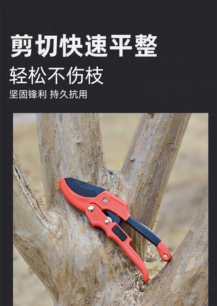 上新 德國粗枝剪 修枝剪 滑輪省力 多功能修枝剪刀 園藝修花木 果樹剪 果樹嫁接 修樹枝剪刀 園林剪工具 | 蝦皮購物