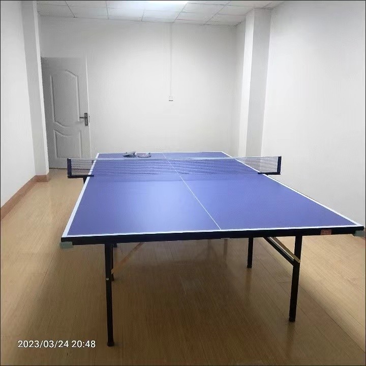 【室內乒乓球桌】 家用簡易乒乓球桌 標準可折疊乒乓球台 帶輪移動兵乓球桌 比賽球台 國球桌 乒乓球案子SUH | 蝦皮購物