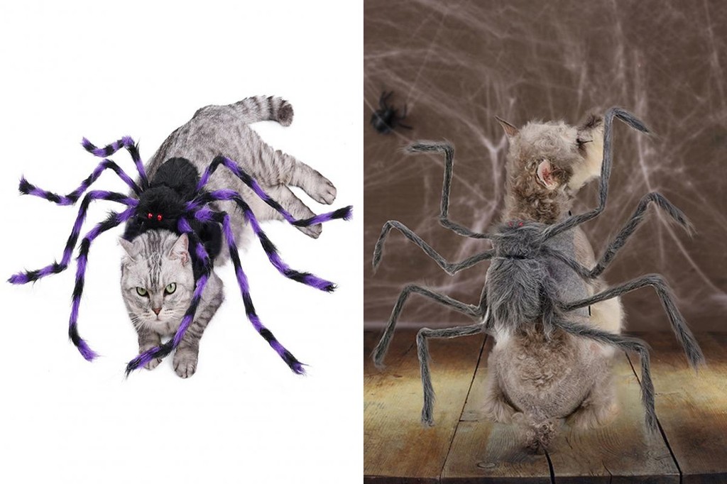 Vip Spider Costume for Pets Pet Cosplay Spider Costume 可愛的萬聖 | 蝦皮購物
