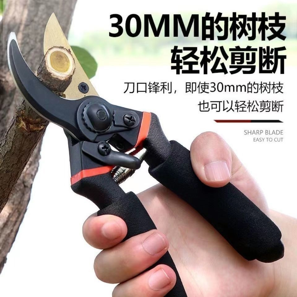 修枝剪 果樹剪 高枝剪 花枝剪刀 粗枝剪刀 樹枝剪 不鏽鋼園藝剪刀 樹枝剪刀 果枝剪 工具剪刀 修花剪刀 園林傢用 剪刀 | 蝦皮購物