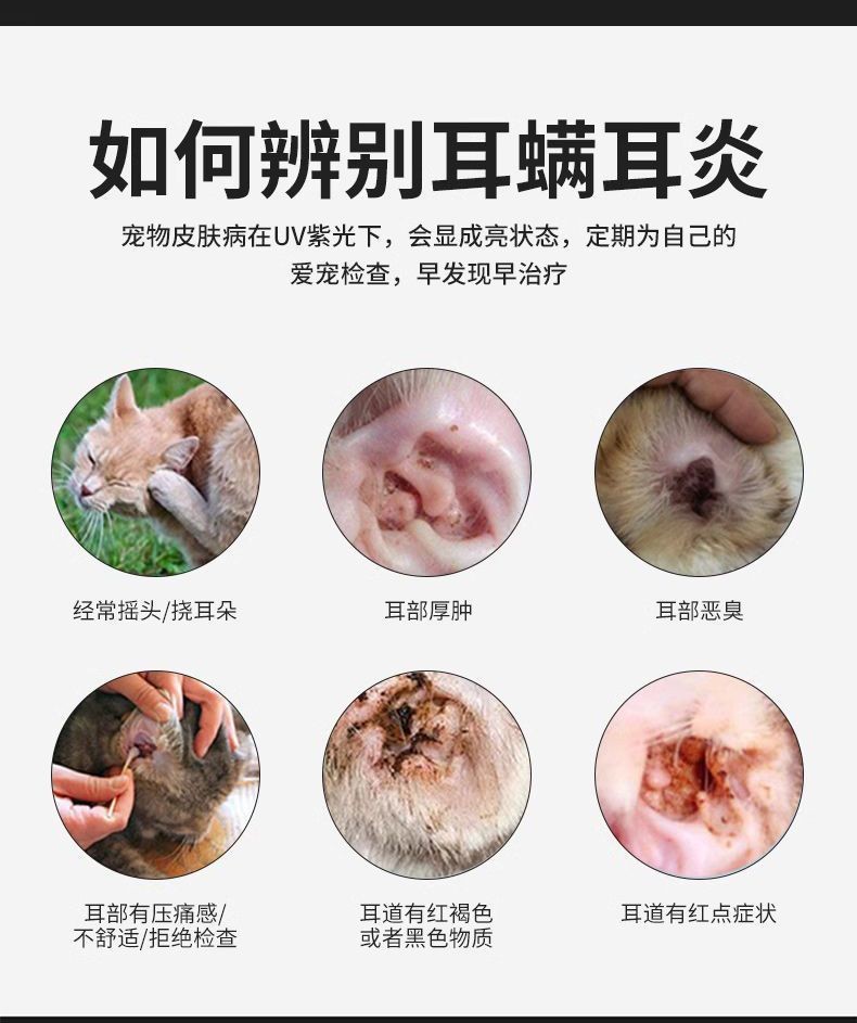 【良品】伍德氏燈照貓蘚燈寵物紫光手電筒紫外綫真菌熒光劑檢測貓尿廯燈 | 蝦皮購物