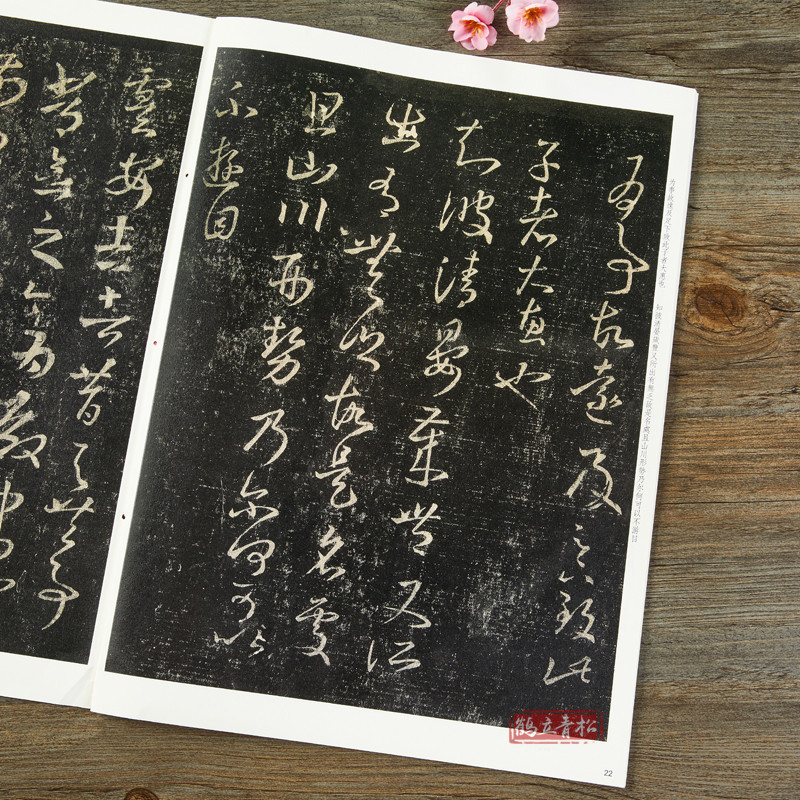天一堂 王羲之十七帖嶽雪樓本嶽雪樓本 彩色放大本中國碑帖 繁體旁註草書碑帖毛筆書法字帖 孫寶文編 上海辭書出版社書籍 | 蝦皮購物
