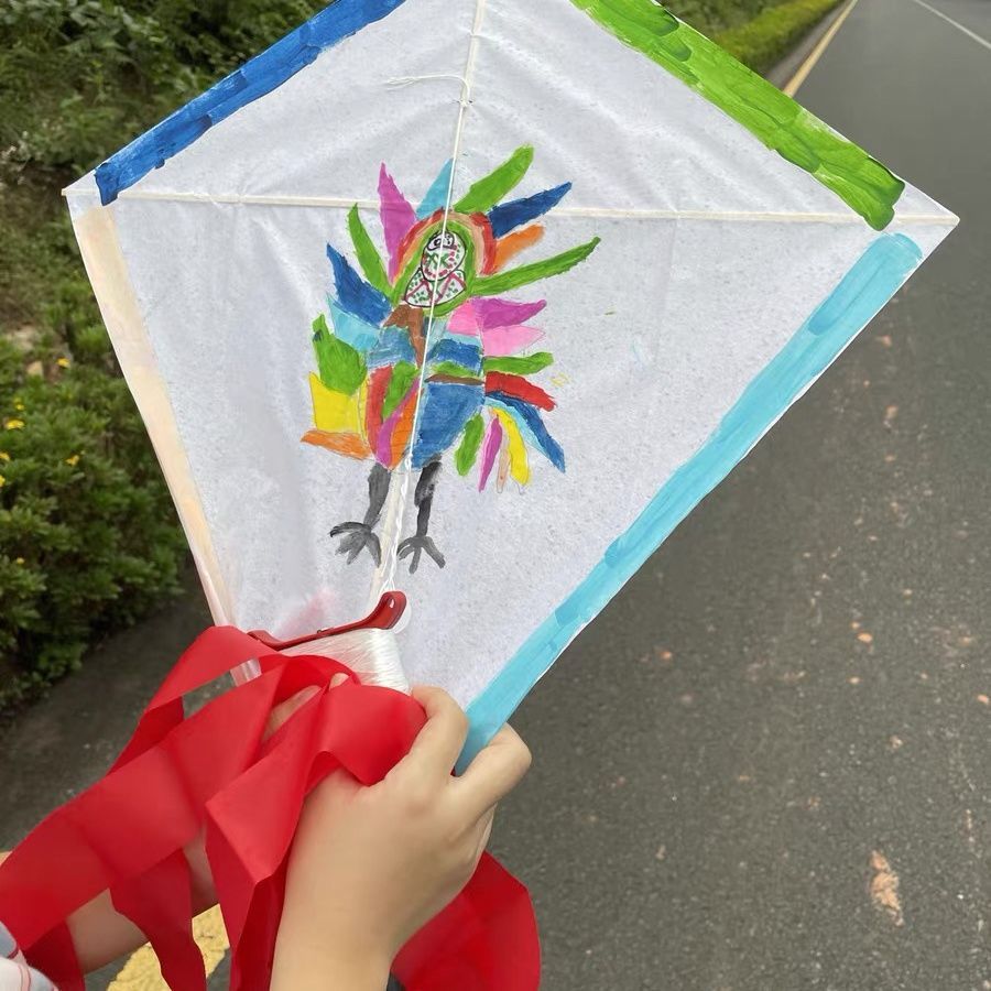 臺灣出貨DIY風箏製作材料竹條竹條竹片風箏骨架風箏布料燈籠婚慶製作材料 | 蝦皮購物