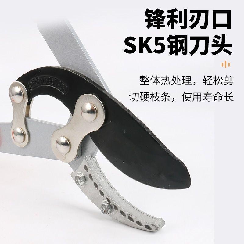 園林粗枝剪大力剪果樹樹枝伸縮修枝剪強力省力園藝專用工具大剪刀 | 蝦皮購物