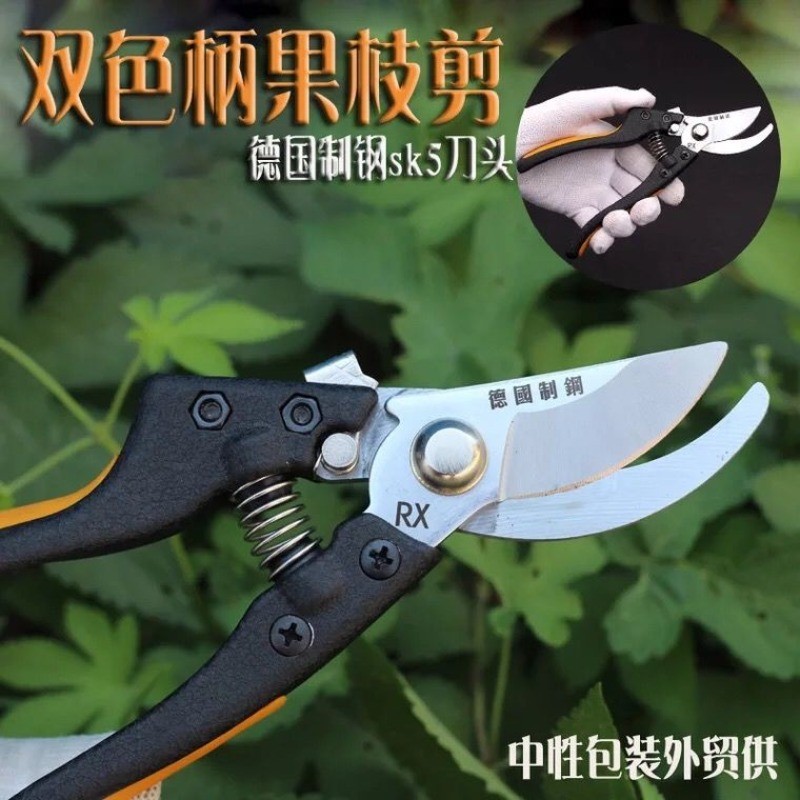 🔥台灣優選🔥進口SK5鋼修枝剪 園林果樹剪刀粗枝花剪 省力樹枝修花園藝剪刀 | 蝦皮購物
