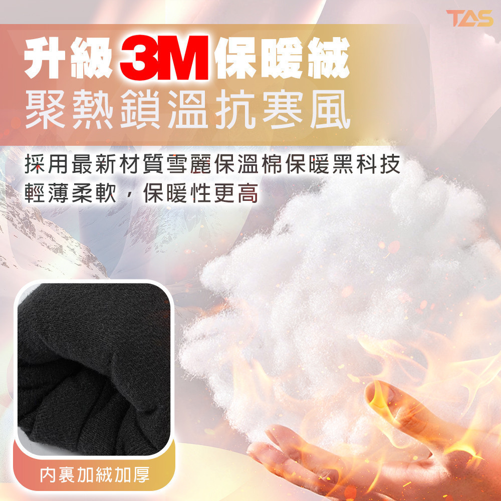 【DAYOU】TAS滑雪手套 保暖手套 3M雪麗棉 抗寒零下 防寒手套 登山手套 防水保暖 滑雪 手套 D0304039 | 蝦皮購物