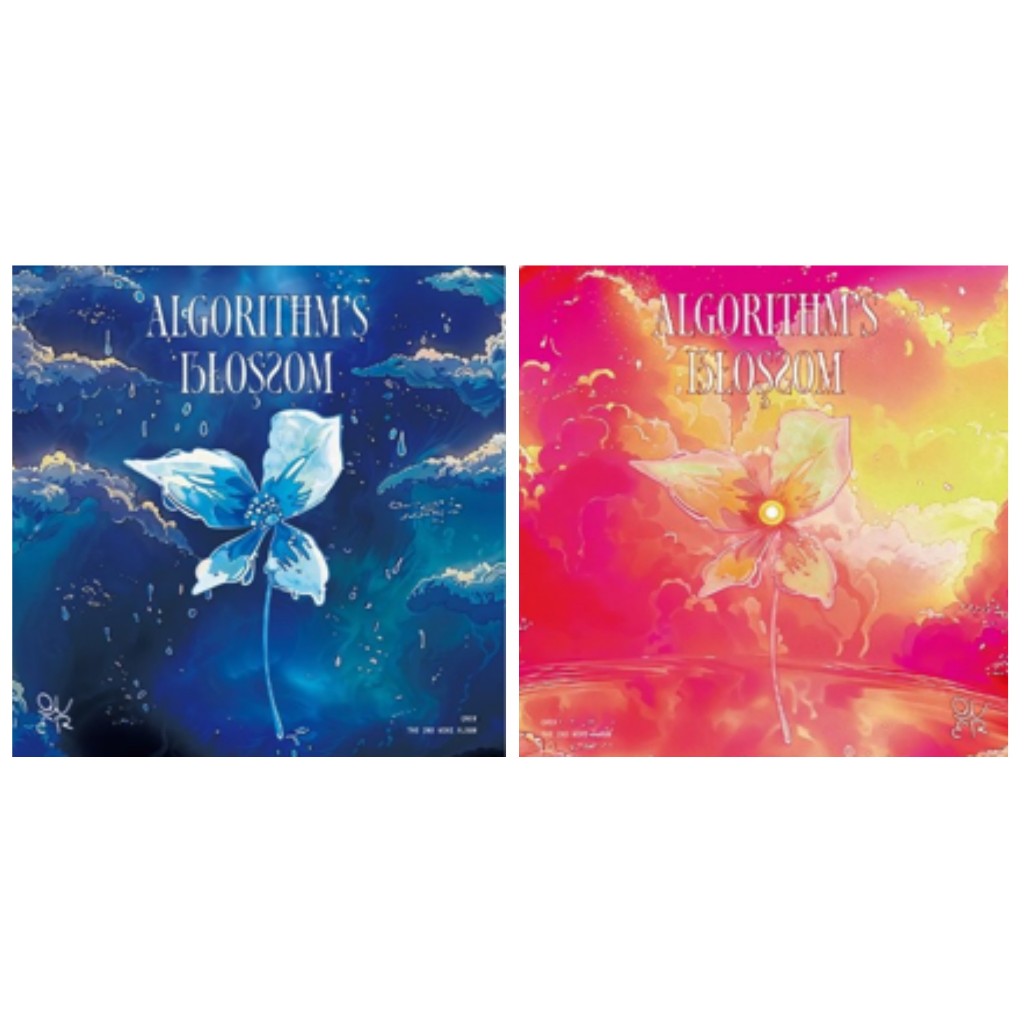 QWER アルバム トレカ 開封済 QWER マゼンタ トレカ アルバム まとめ