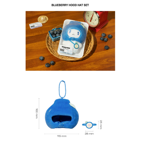 MMMM PLUSH ACCESSORY) PLAVE 2025 ASIA TOUR in Seoul MD