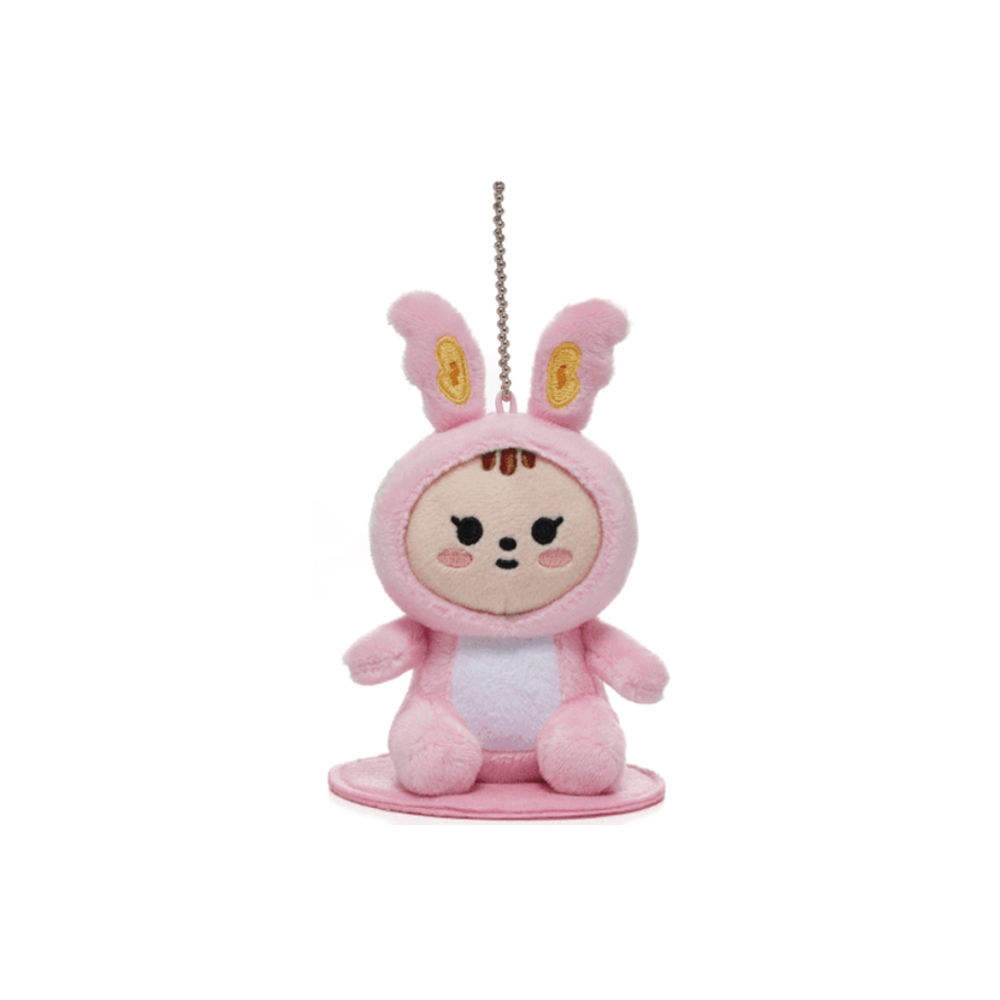 Pre order ] SEVENTEEN - MINITEEN Magnet Plush Keyring | 蝦皮購物