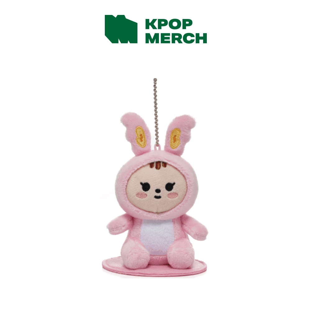 SEVENTEEN - MINITEEN Magnet Plush Keyring | 蝦皮購物