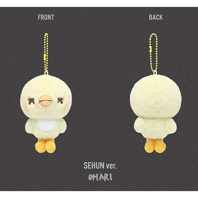 EXO [EXO PLANET #6 - EXhOrizon] Tour MD / MINI DOLL KEYRING | 蝦皮購物