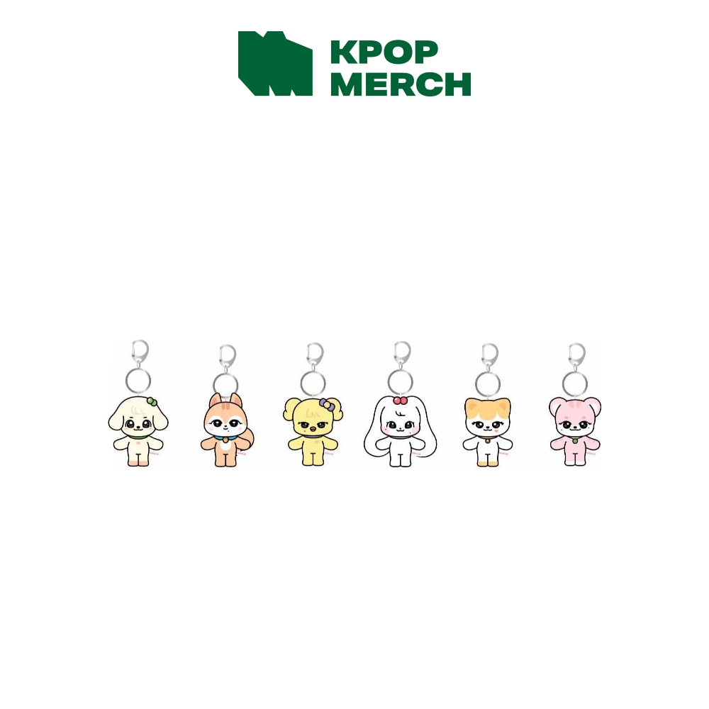 IVE x MINIVE 2025 World Tour Pop up MD_10cm plush keyring | 蝦皮購物