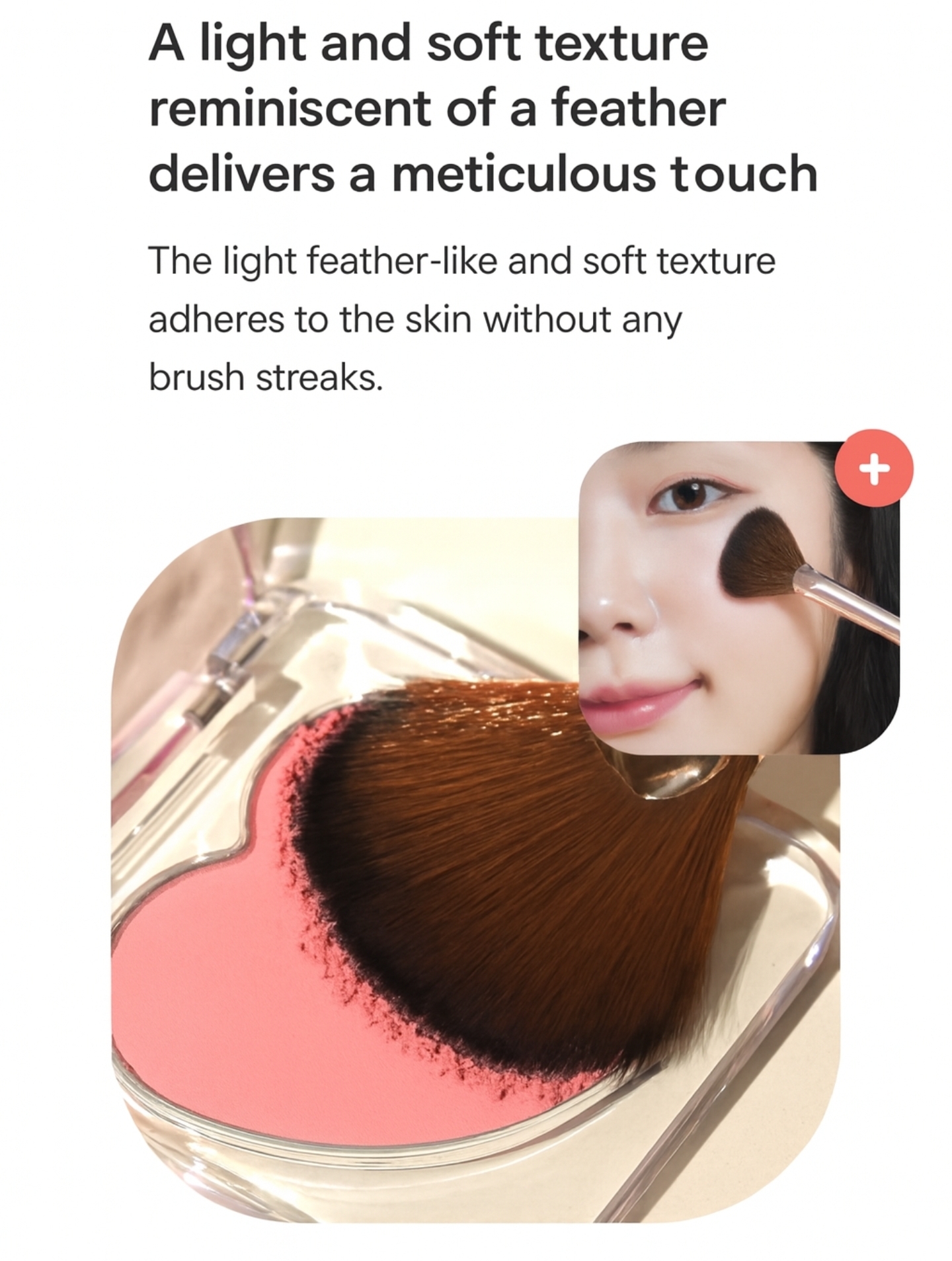 toolif Cheek Fan Brush Blush Brush | 蝦皮購物