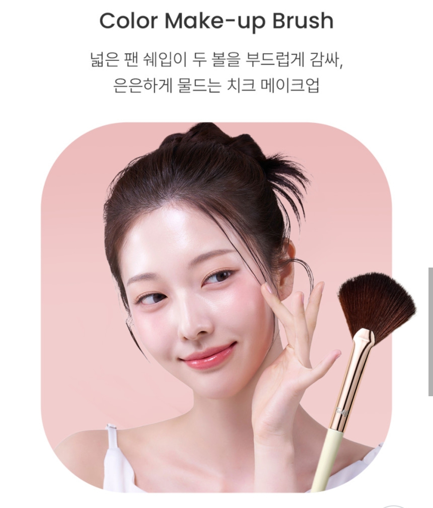 toolif Cheek Fan Brush Blush Brush | 蝦皮購物