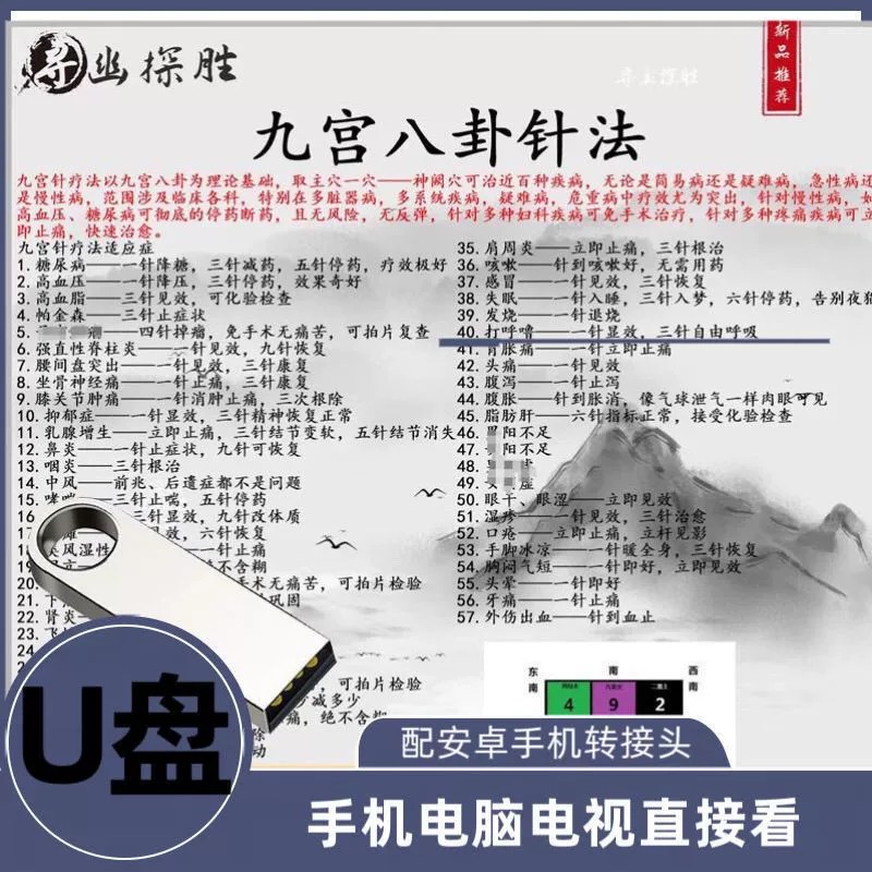 【送隨身碟】九宮八卦針法鼻炎中風面癱便祕中醫鍼灸視頻U盤網盤發貨電子資料學習資料課程 | 蝦皮購物